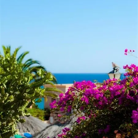 Hotel Sbh Monica 4*