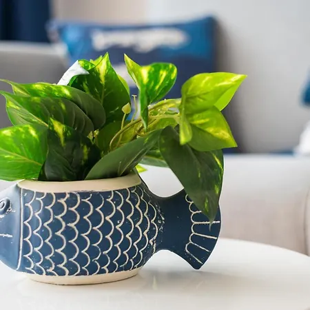 Apartment Home2book Aloha Palm *