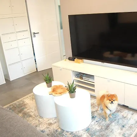 Luxus Mit Klimaanlage Apartment