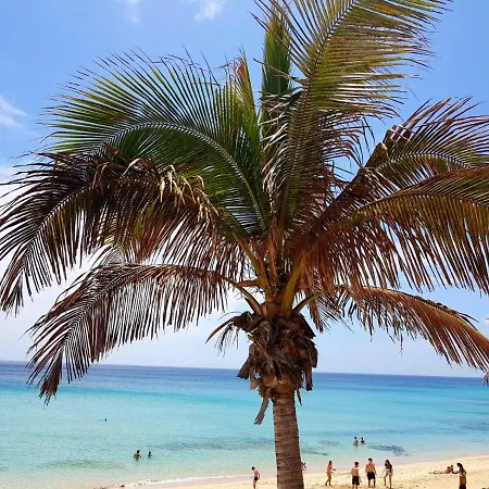Your Ocean Blue * Costa Calma