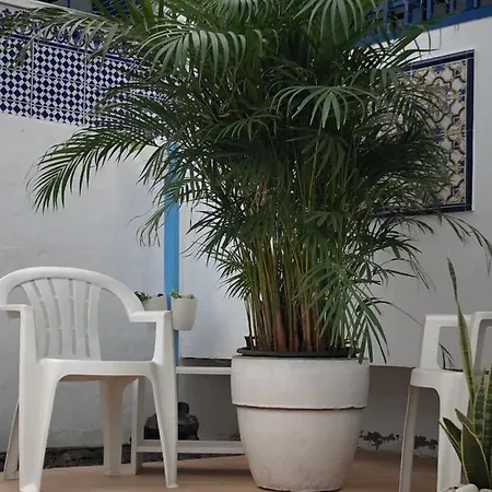 Casa Luciano Apartment