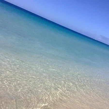 Your Ocean Blue *