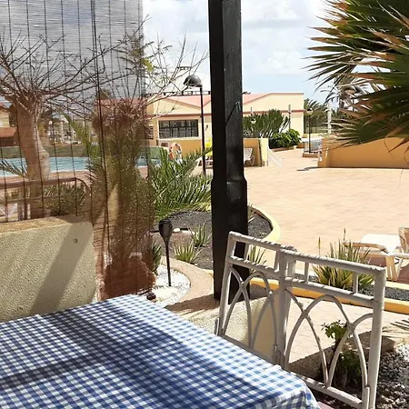 Oasis By The Pool *