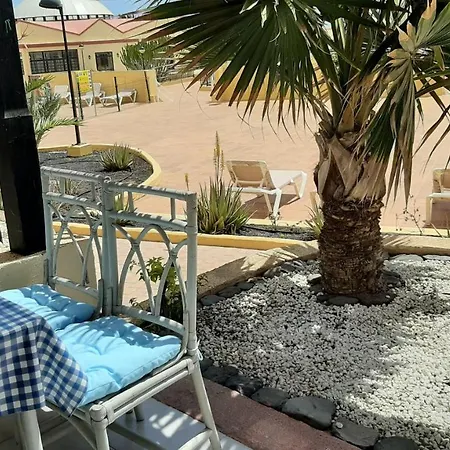 Oasis By The Pool