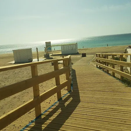 Los Hibiscos *