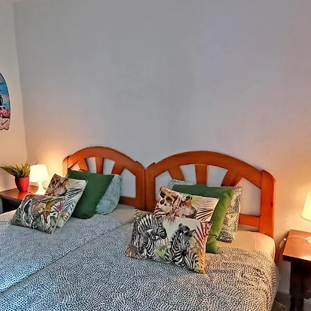 Palm In Apartment Costa Calma