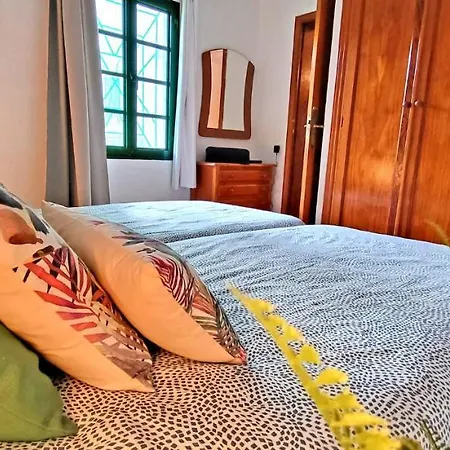 Palm In Apartment Costa Calma