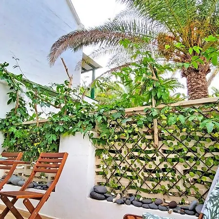 Apartment Palm In