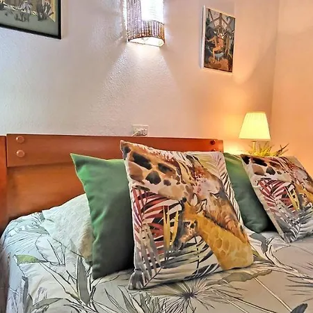 Palm In Apartment Costa Calma