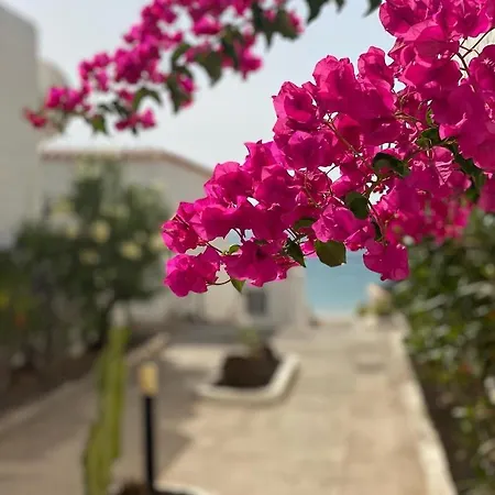 Apartment Casa Blanka Bahia Playa Anlage