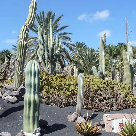 Alejandro, Panorama Jardin Villa