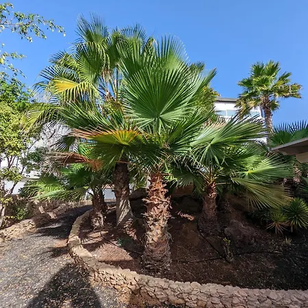 Oasis Apartment *