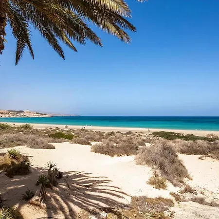 Mit Meerblick In Apartment Costa Calma