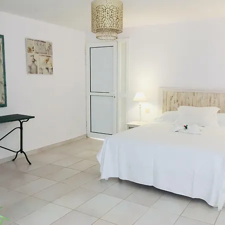 Cardon Big Calm 10 Apartment