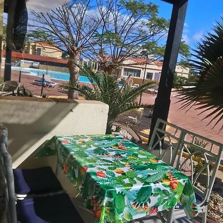 Oasis By The Pool