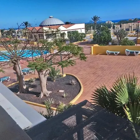 Oasis By The Pool Apartment *