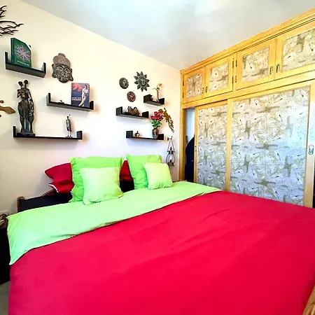 Welooveyou Parrots Apartment Costa Calma
