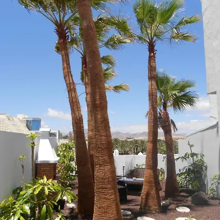 Palm Garden Costa Calma