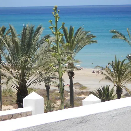 Palm Garden